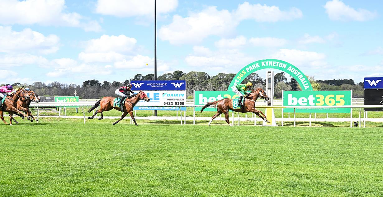 Regal Tycoon - Kyneton 9th October 2025